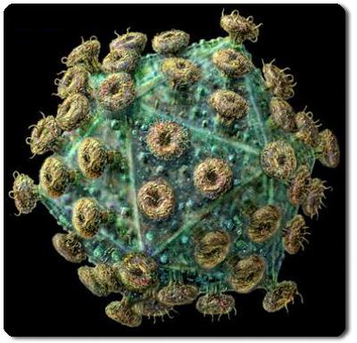 HIV 
